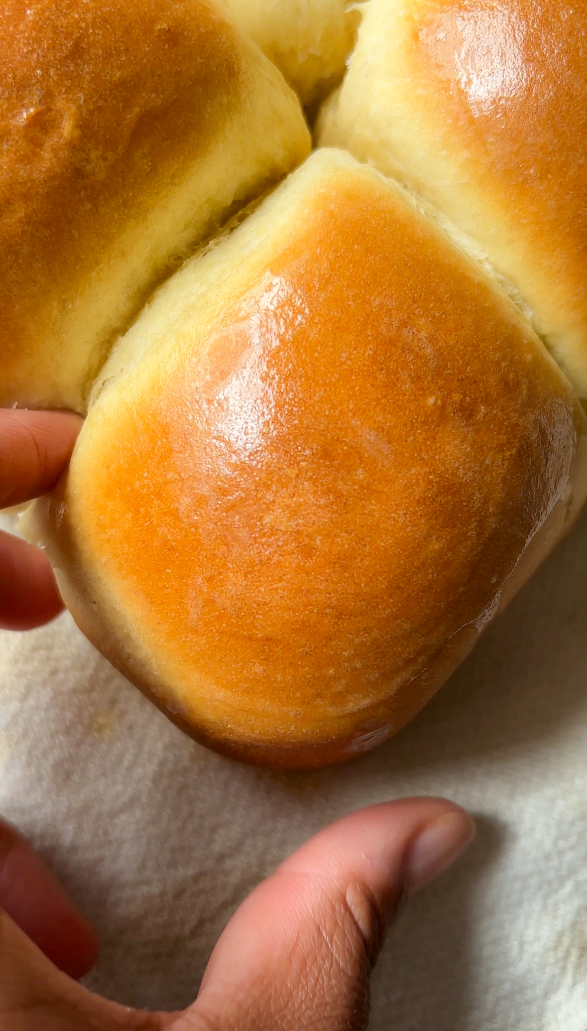 Bread buns