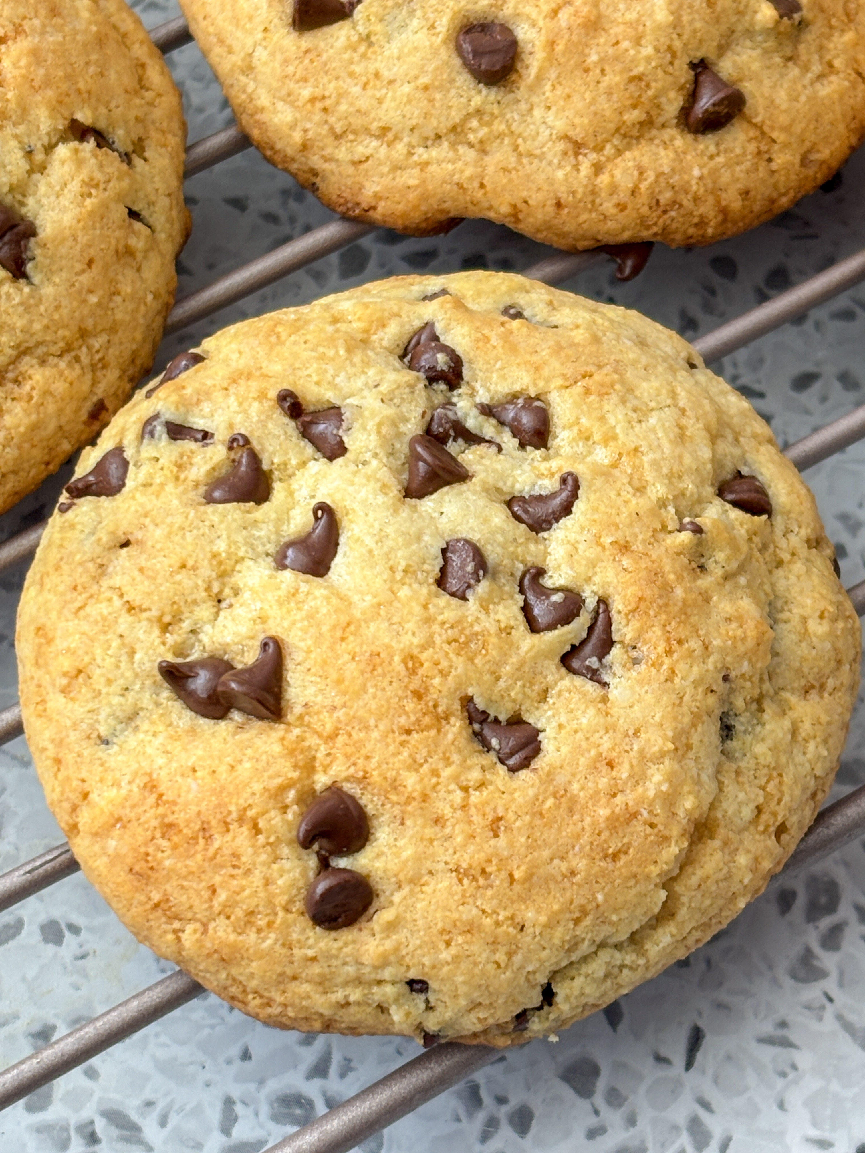 Almond Flour Chocolate Chip Cookies (Low Carb, Protein Filled + Sugar Free!)