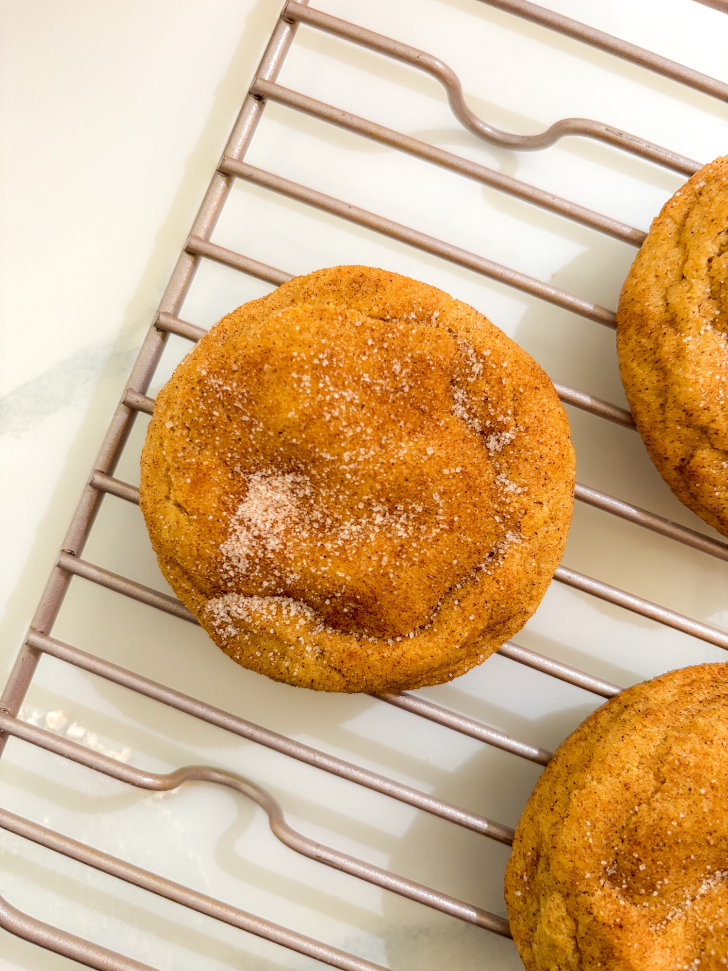 Best Pumpkin Spice Protein Cookies for Fall
